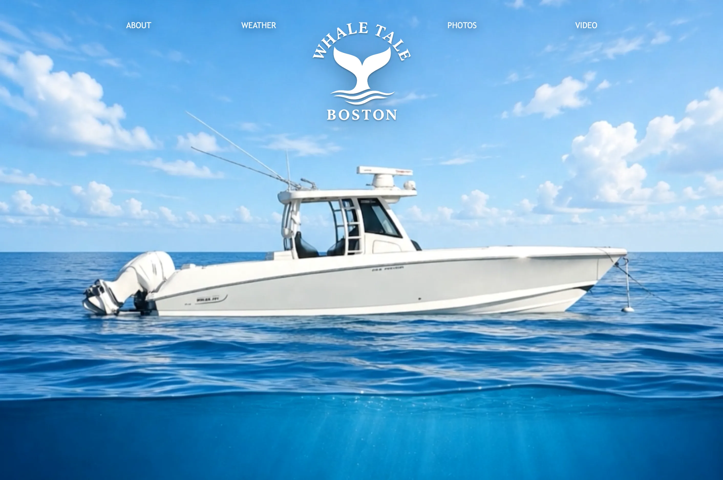 Whale Tale app interface
